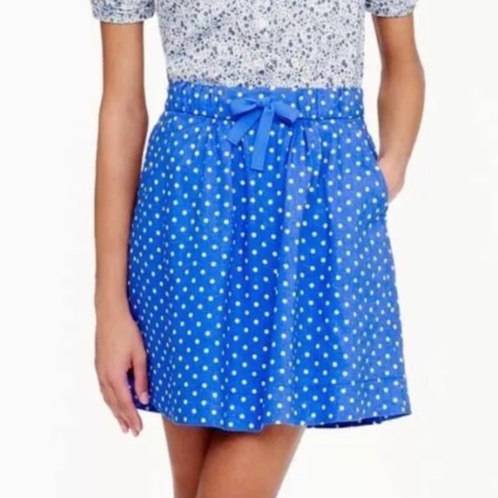 J. Crew Polka Dot Blue & White Skirt